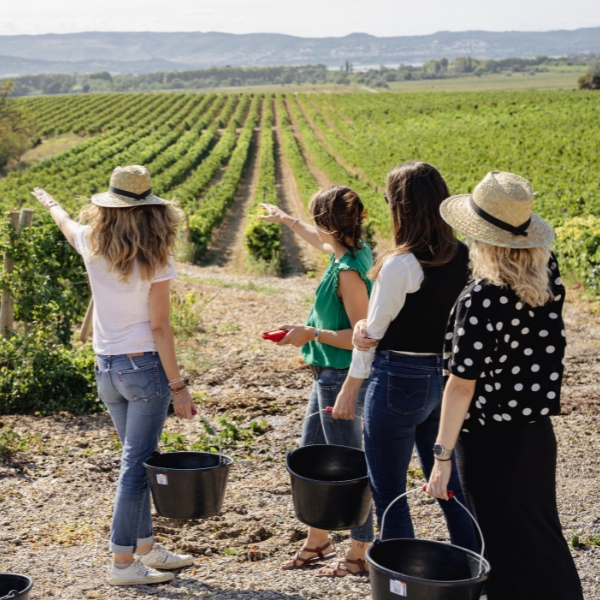 Caisse bois accessoires vins